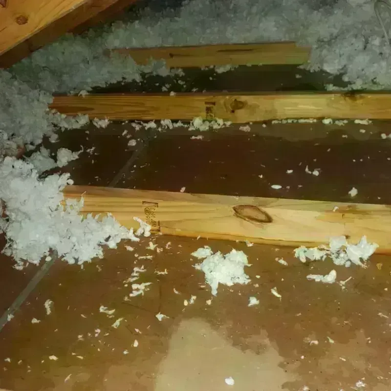 Attic Water Damage in Center, TX